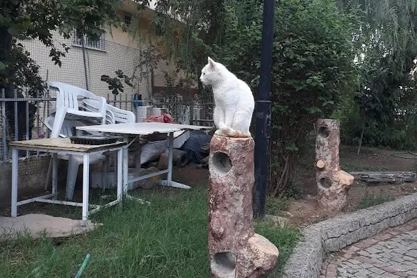 Yüzbaşı Şerafettin Parkı - Resim 9
