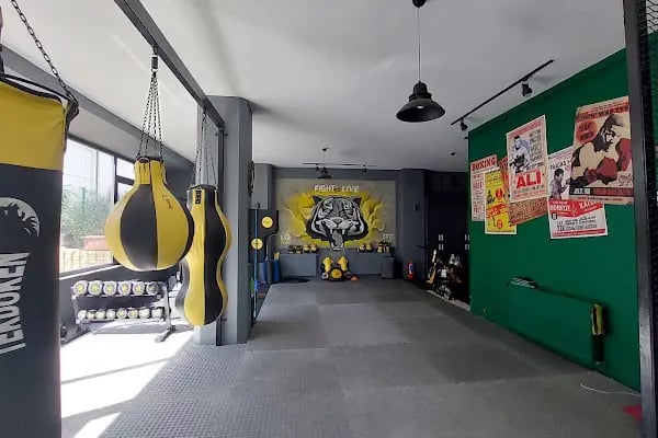 Kaplan Fight Academy (Atasehir KickBoks) - Resim 18