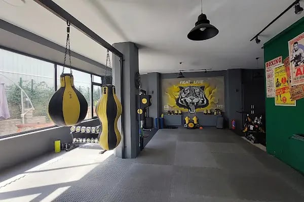 Kaplan Fight Academy (Atasehir KickBoks) - Resim 16