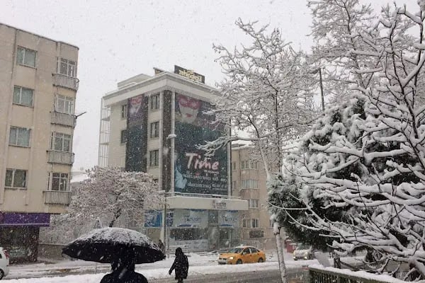 Pendik Time Dil Akademi Almanca İngilizce Türkçe Dil Kursu - Resim 3