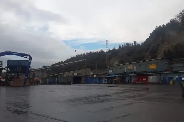 Diler Liman İşletmeleri - Resim 5