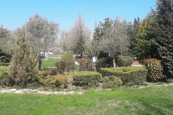Uzay Sitesi - Resim 3