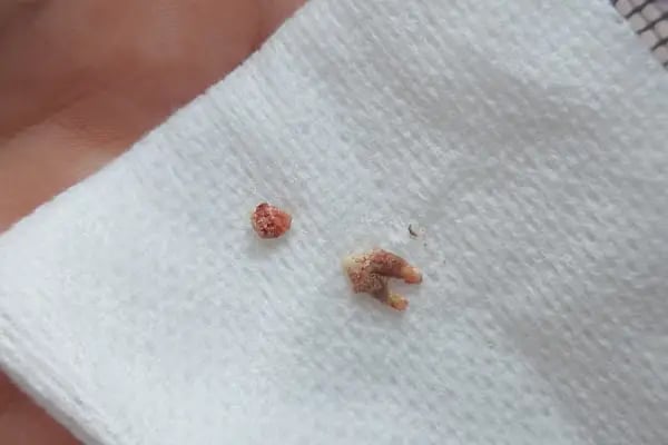 Hüseyingazi Veteriner Kliniği - Resim 14
