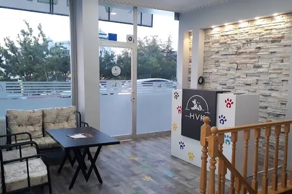 Hüseyingazi Veteriner Kliniği - Resim 3