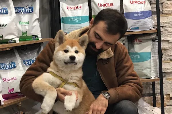 Hüseyingazi Veteriner Kliniği - Resim 5