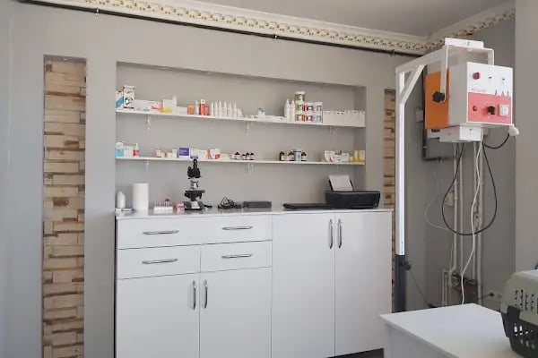 Hüseyingazi Veteriner Kliniği - Resim 8