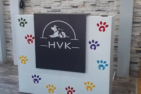 Hüseyingazi Veteriner Kliniği - Resim 6