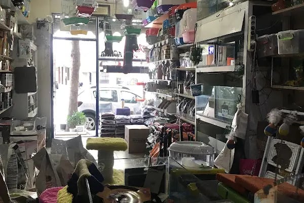 Efe Pet Shop - Resim 14