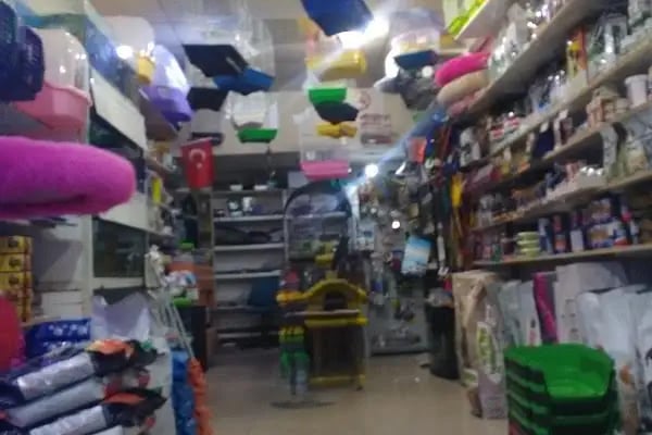 Efe Pet Shop - Resim 6