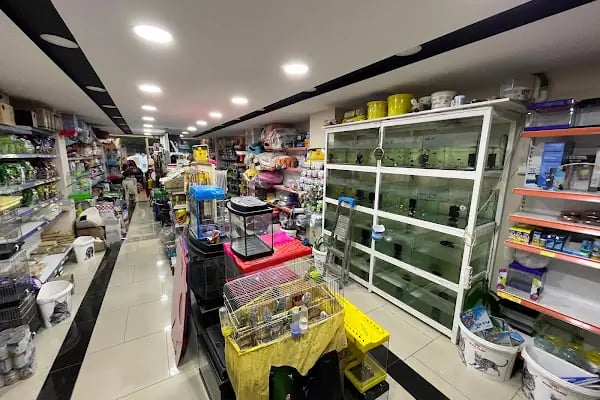 Efe Pet Shop - Resim 2