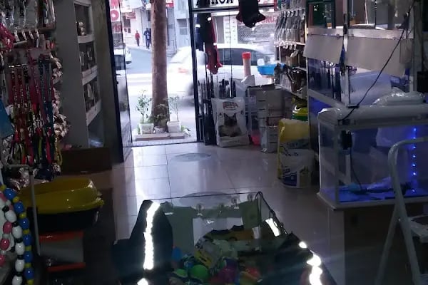 Efe Pet Shop - Resim 16