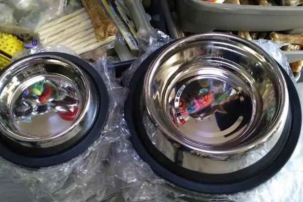 Efe Pet Shop - Resim 13