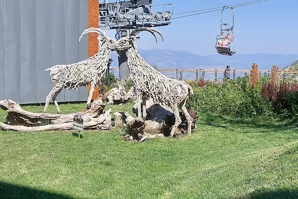 Babadağ Teleferik - Resim 12