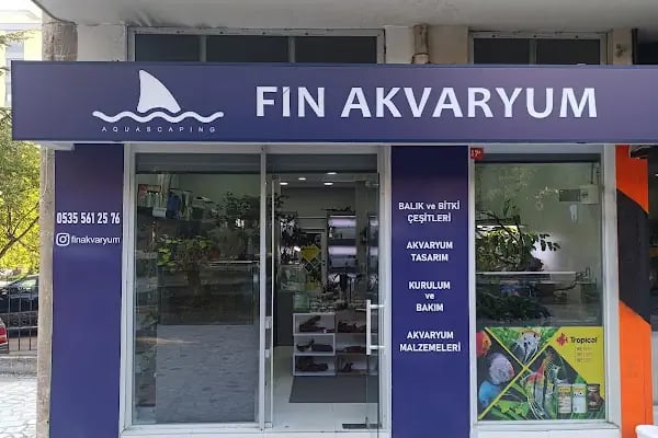 Fin Akvaryum - Resim 2