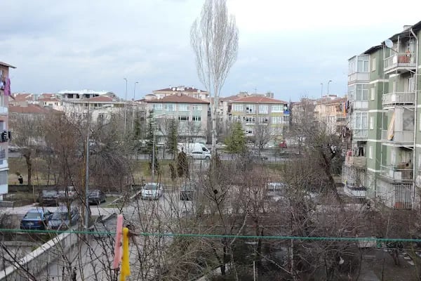 Zerre Emlak - Resim 1