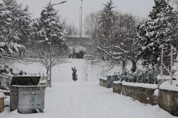 Zerre Emlak - Resim 3