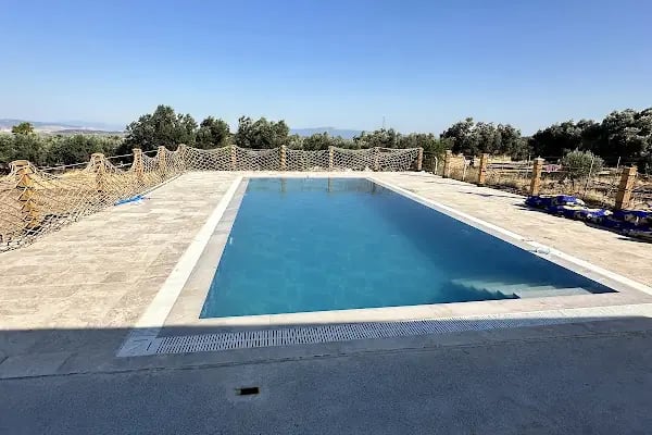 Zeytince Doğa Evi - Resim 3