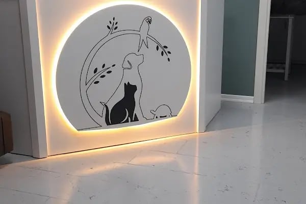 Zeytin Veteriner Kliniği Muayenehanesi - Resim 10