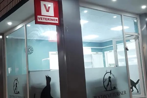Zeytin Veteriner Kliniği Muayenehanesi - Resim 3