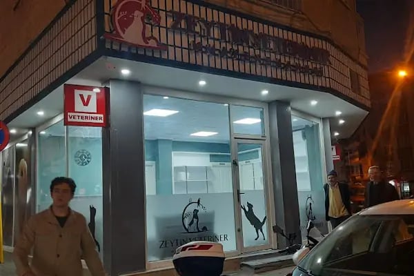 Zeytin Veteriner Kliniği Muayenehanesi - Resim 5