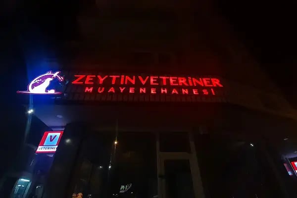 Zeytin Veteriner Kliniği Muayenehanesi - Resim 12