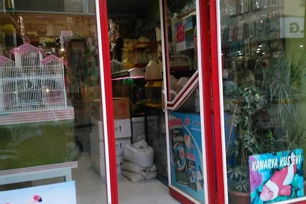 Kanarya Kuş ve Akvaryum Evi (Pet Shop) - Resim 4