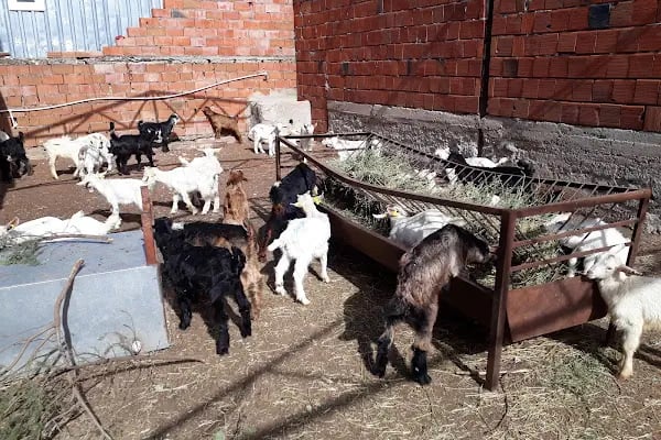 Yeşilbayır Şehit Er Tevfik Cebeci Stadyumu - Resim 13