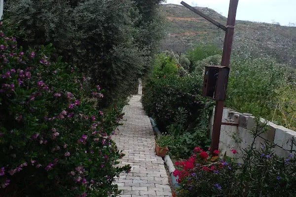 Yelken Bungalov Çökertme B&amp;B - Resim 10