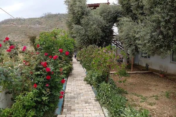 Yelken Bungalov Çökertme B&amp;B - Resim 13