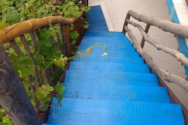 Yelken Bungalov Çökertme B&amp;B - Resim 3