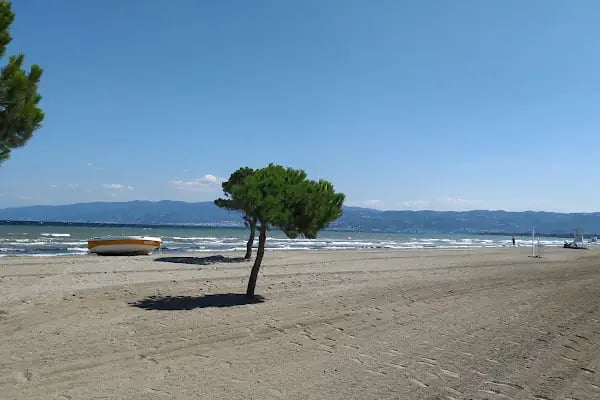 Altınova Hersek Plajı - Resim 3