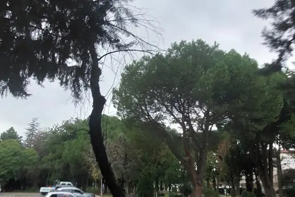 Bursa İl Nüfus ve Vatandaşlık Müdürlüğü - Resim 11