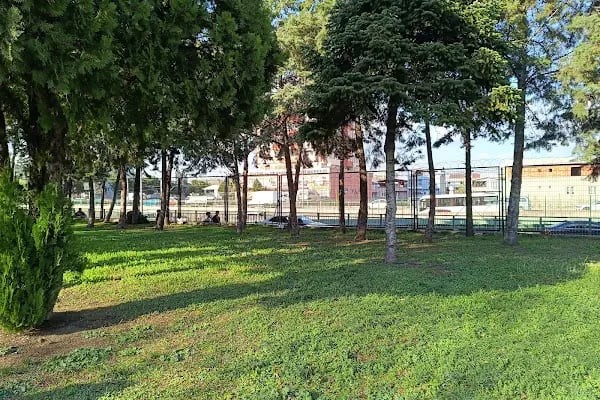 Bursa İl Nüfus ve Vatandaşlık Müdürlüğü - Resim 10