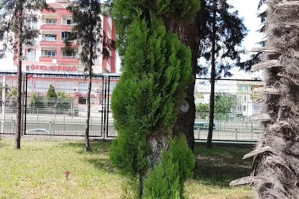 Bursa İl Nüfus ve Vatandaşlık Müdürlüğü - Resim 4