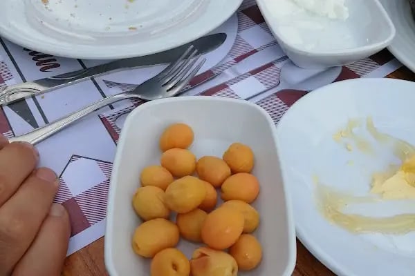Konaklı Bahçe - Resim 6