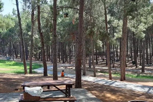 Alanya Belediyesi Bilaller Mesire Alanı - Resim 2