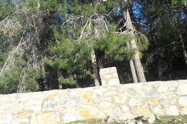 Alanya Belediyesi Bilaller Mesire Alanı - Resim 10