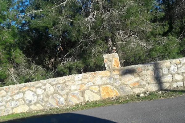 Alanya Belediyesi Bilaller Mesire Alanı - Resim 17