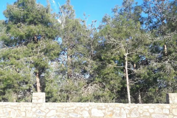 Alanya Belediyesi Bilaller Mesire Alanı - Resim 11