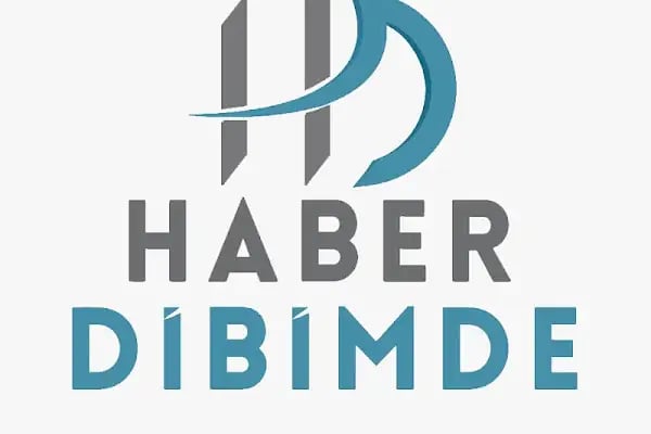 Dibimde.com Danışmanlık Ajansı - Resim 3