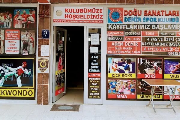 DOĞU SANATLARI DEMİR SPOR KULÜBÜ YENİKENT - Resim 5