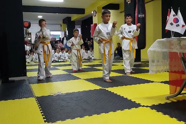 DOĞU SANATLARI DEMİR SPOR KULÜBÜ YENİKENT - Resim 3