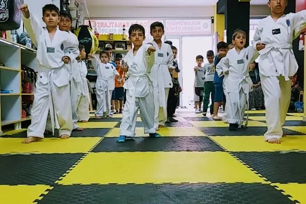 DOĞU SANATLARI DEMİR SPOR KULÜBÜ YENİKENT - Resim 12