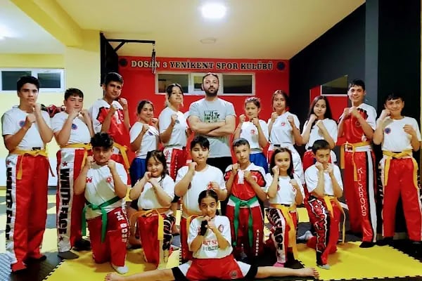 DOĞU SANATLARI DEMİR SPOR KULÜBÜ YENİKENT - Resim 1
