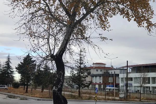 Ereğli Devlet Hastanesi - Resim 16
