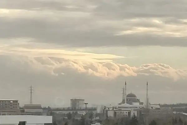 Selçuk Üniversitesi Rektörlüğü - Resim 14