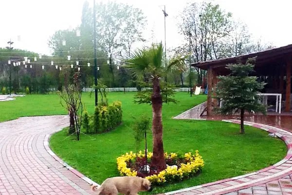 Gözde Kır Bahçesi - Resim 15