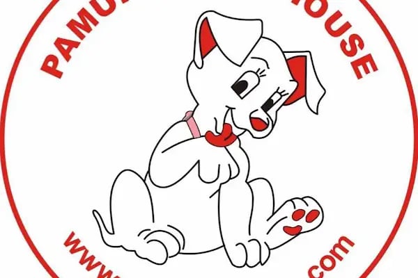 PAMUKÇU DOGHOUSE PETSHOP - Resim 6
