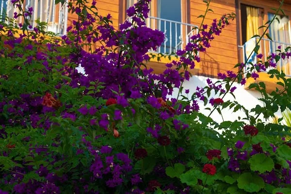 Akvaryum Hotel - Resim 13