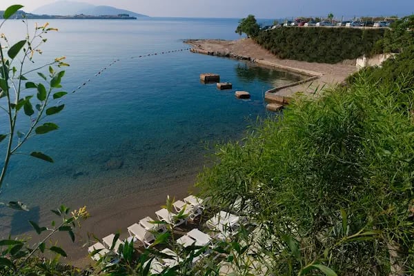 Akvaryum Hotel - Resim 19